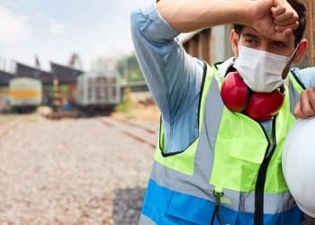 opendocument.do_-350x250